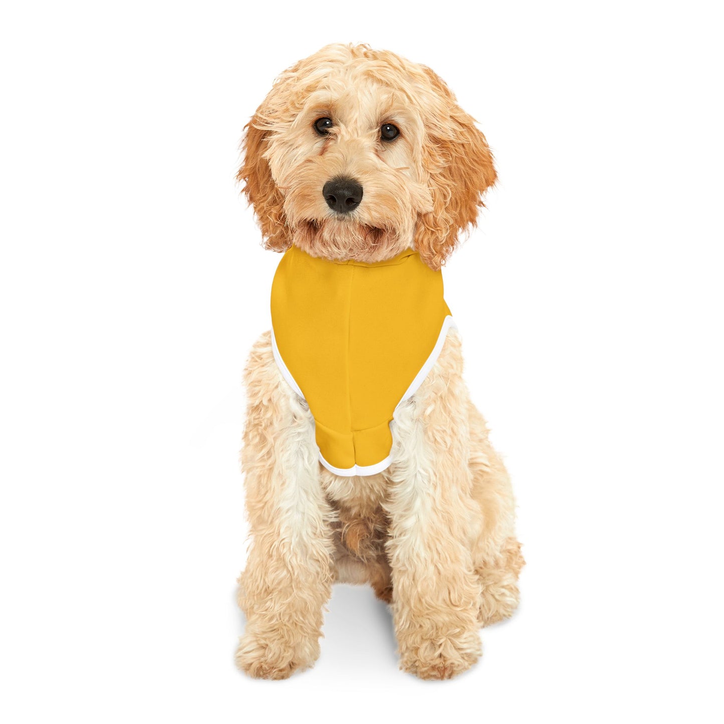 Pet Hoodie - Azukah Morenah's Printing & More LLC